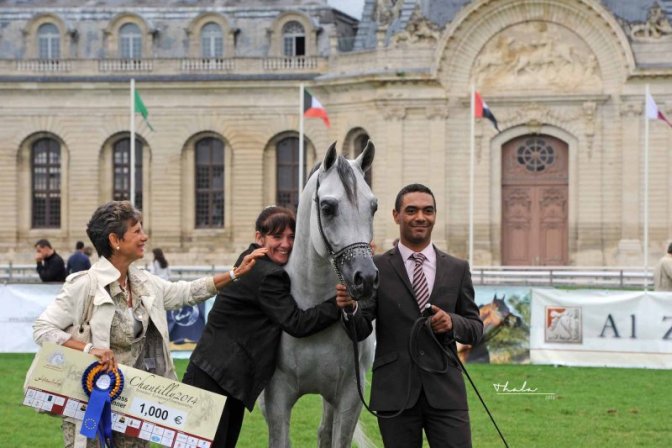 Haras de la Châtaignière - Chantilly 2014 {JPEG}
