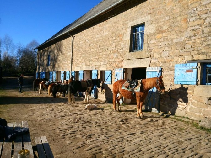 Vassiviere a Cheval - structure
