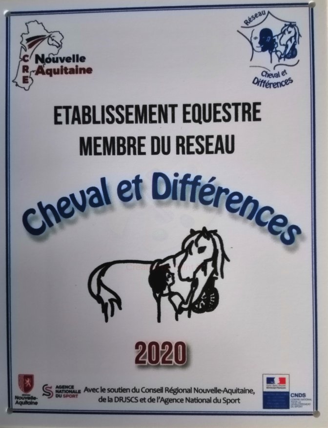 Ecurie des M - Cheval et Differences